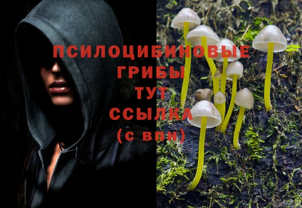 кристаллы Алзамай