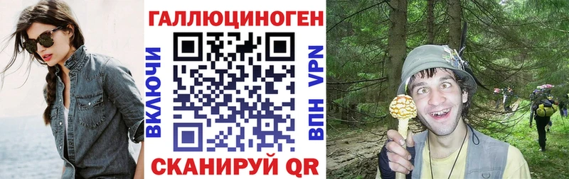 купить  цена  Нязепетровск  Галлюциногенные грибы Cubensis 
