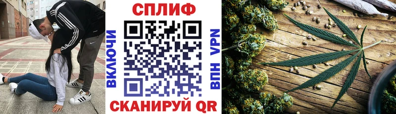 Шишки марихуана конопля  продажа наркотиков  Нязепетровск 